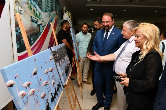 “Flamingo Adası” Fotoğraf Sergisi Kapılarını Açtı