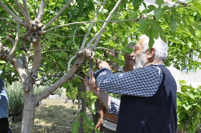 Eskişehir’de İpekböcekçiliği Yaygınlaşıyor