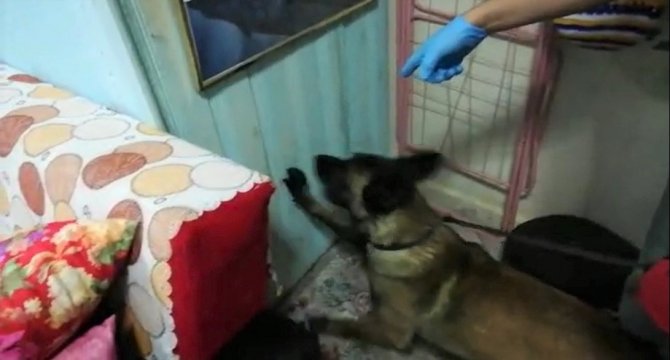 Kütahya’da Uyuşturucu Operasyonu