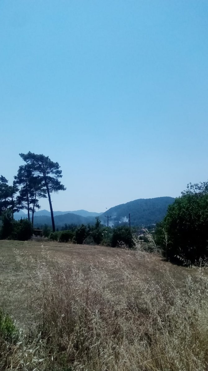 Metruk Binada Çıkan Yangın Ormana Sıçramadan Söndürüldü