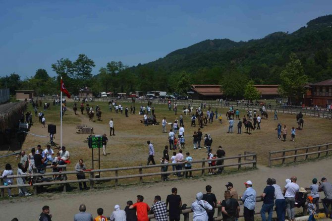 Ünye’de ’Rahvan At Yarışları’ Renkli Görüntülere Sahne Oldu