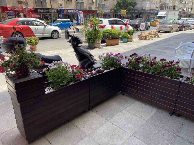 Pendik’te Yaşlı Kadınlar Çiçekleri Söke Söke Çaldılar