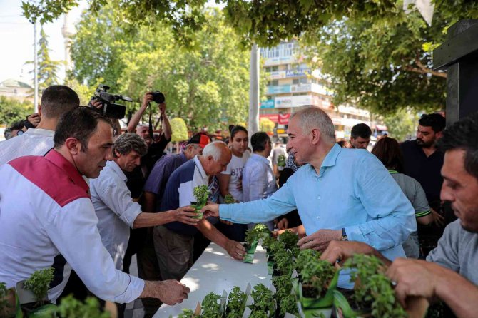Daha Yaşanabilir Bir Denizli İçin Yürüdüler