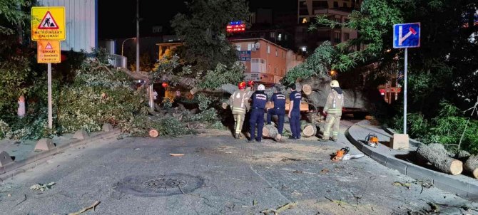 Sancaktepe’de Asırlık Ağaç Yola Devrildi