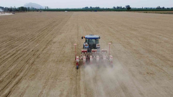 Çukurova’da Yer Fıstığı Ekimi Başladı