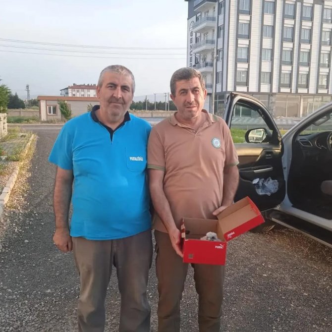 Yuvadan Düşerek Yaralanan Yavru Kerkenez Ve Yavru Kargalar Tedavi Altına Alındı