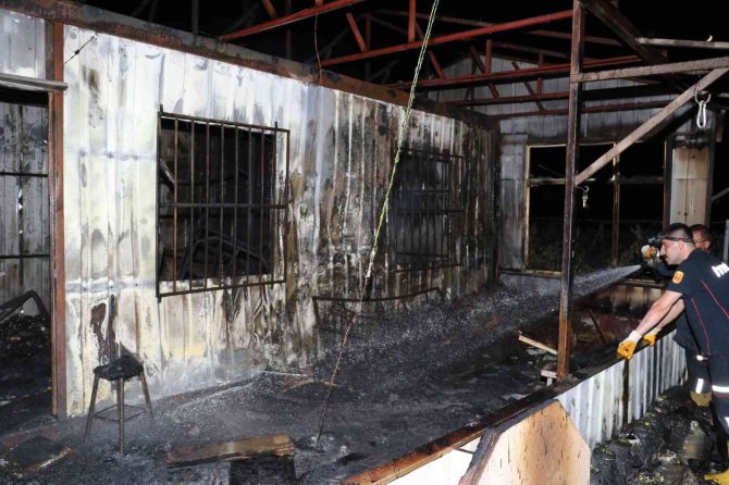 Bağ Evi Yanarak Kül Oldu