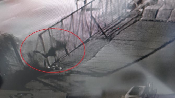 Alkollü Şahsın Tel Örgülerin Üzerinden Geçerken Düşme Anı Kamerada