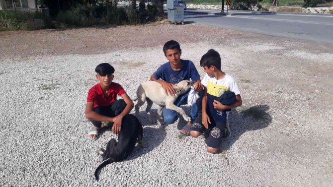 Antalya’da Çocuklardan Yürek Isıtan Davranış