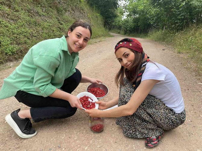 Bu Çileğin Kilosu 200 Tl