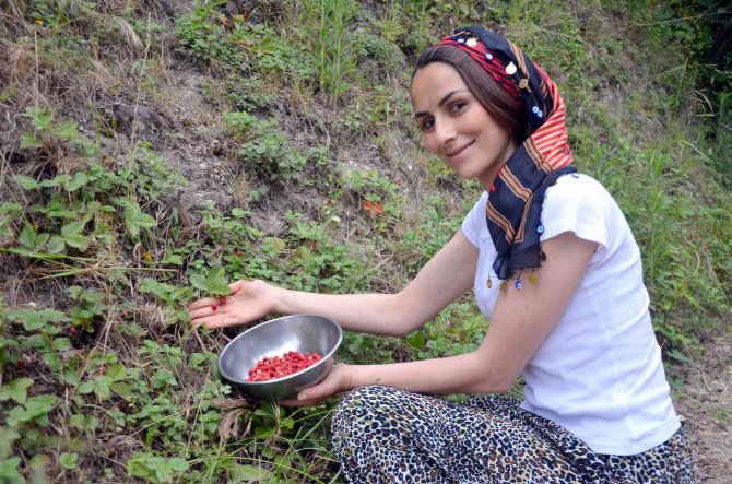 Bu Çileğin Kilosu 200 Tl