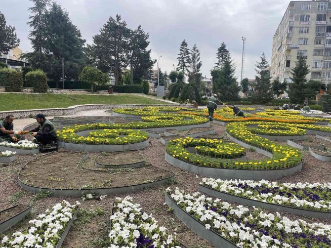 Çorum 200 Bin Rengarenk Çiçeklerle Donatılıyor