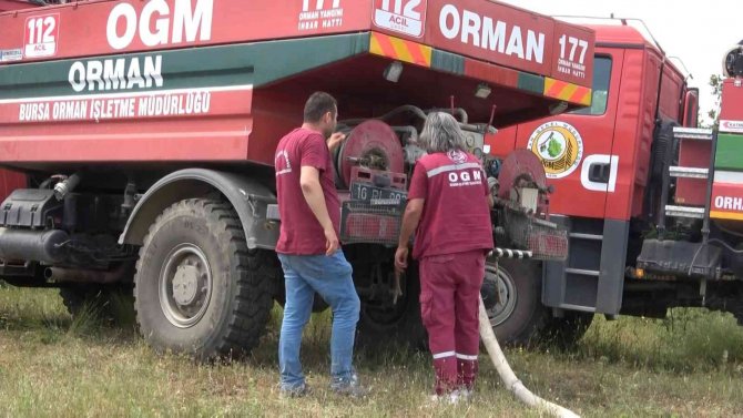 Bursa’da Orman Yangını