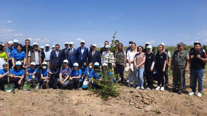 Kastamonu Üniversitesi’nde Fidanlar Toprakla Buluşturuldu