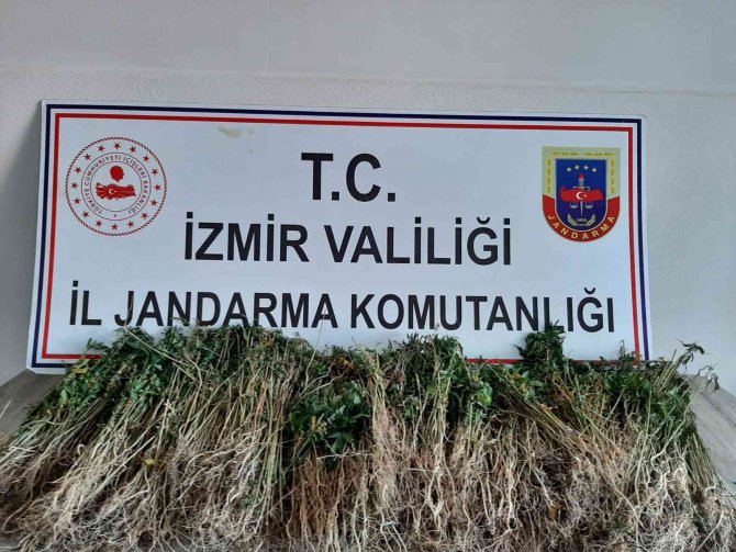 İ̇zmir’de 8 İlçede Jandarmadan Uyuşturucu Operasyonu