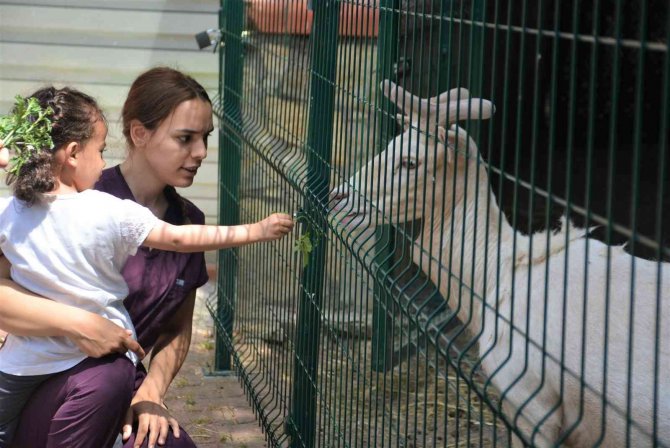 Babasının Yanına Bile Gelmeyince, Gerçek Ortaya Çıktı