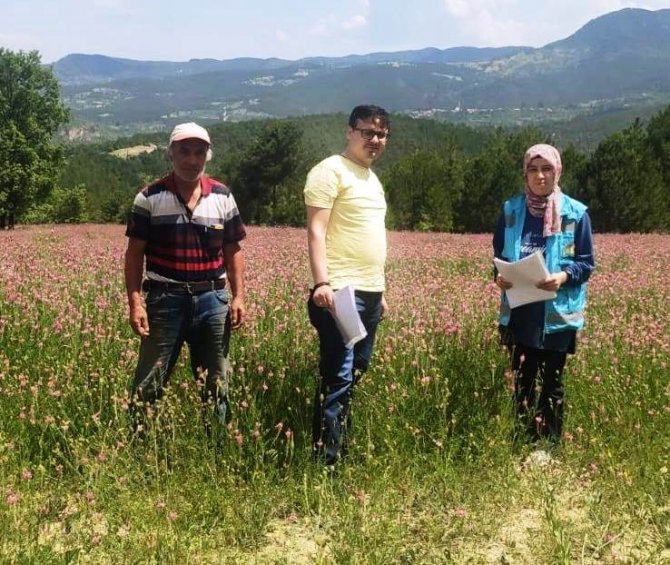 Hisarcık’ta Yem Bitkileri Kontrolleri