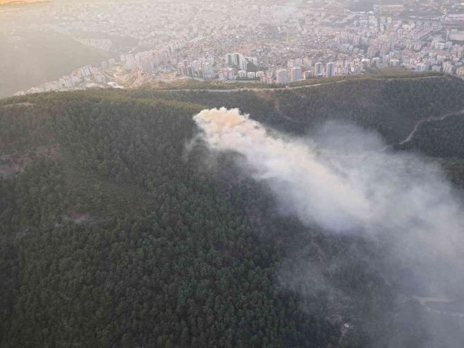İ̇zmir’de Ormanlık Alanda Yangın