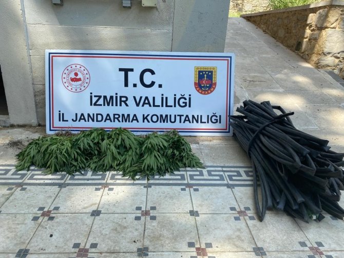 İ̇zmir’de 8 İlçede Jandarmadan Uyuşturucu Operasyonu