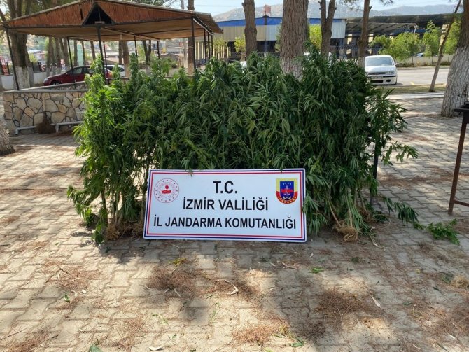 İ̇zmir’de 8 İlçede Jandarmadan Uyuşturucu Operasyonu