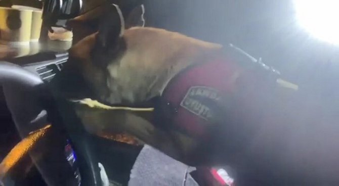 Jandarma Ekipleri ‘Termal’ İle Aradı, Durdurulan Otomobilden Uyuşturucu Çıktı