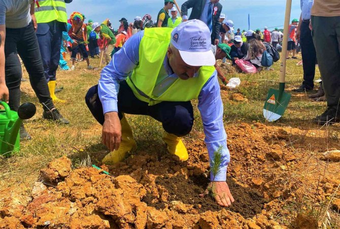 Sıfır Atık Ormanı’nda Binlerce Fidan Toprakla Buluştu