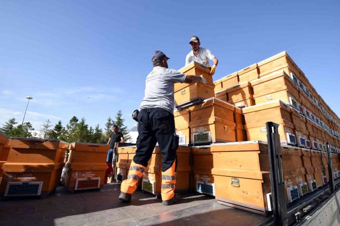 Başkan Altay: “Kovanlar Arıcılarımız İçin Nefes Olacak”