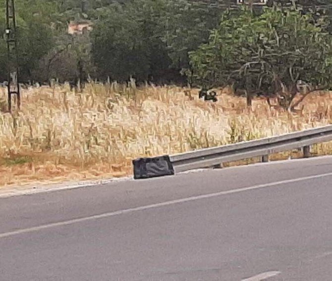 Patlatılan Şüpheli Çantadan Dondurulmuş Balık Çıktı