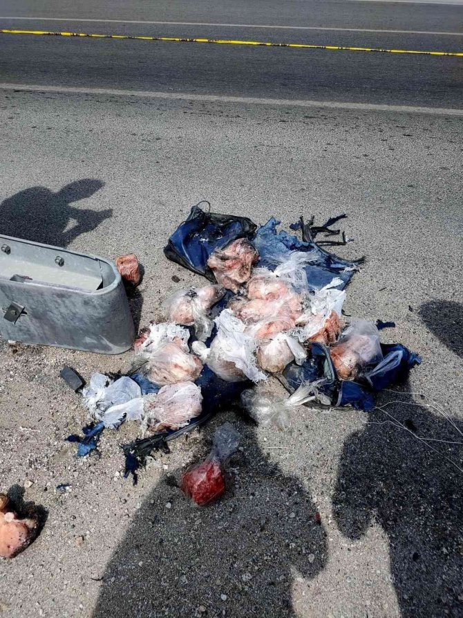 Patlatılan Şüpheli Çantadan Dondurulmuş Balık Çıktı