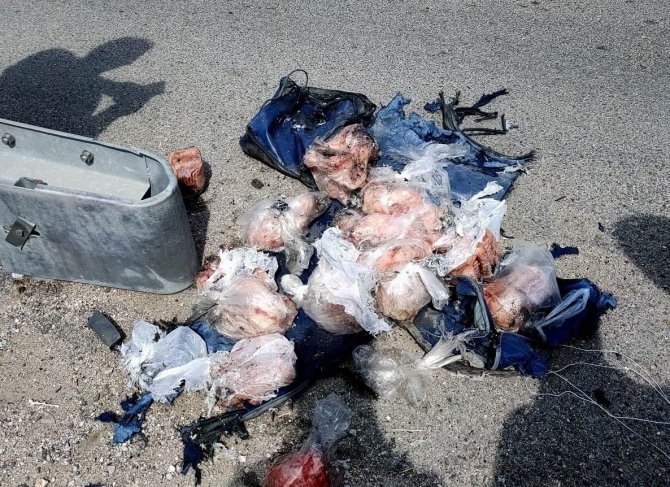 Patlatılan Şüpheli Çantadan Dondurulmuş Balık Çıktı