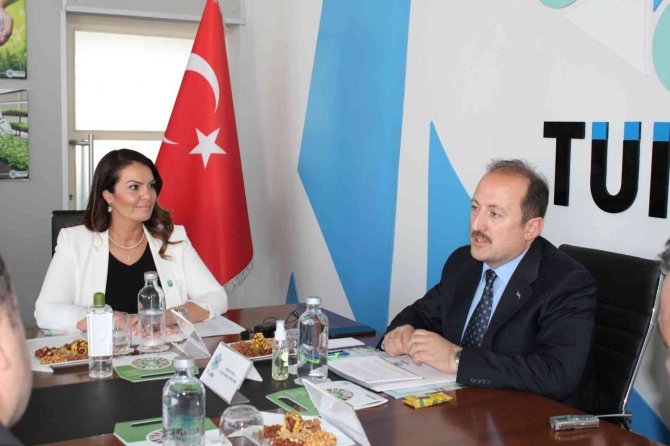 Akyürek Balta: “Hedefimiz, 29 Ekim’de 29 Fabrikanın Temelini Atmak"