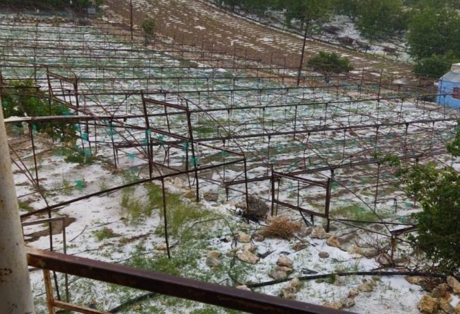 Mersin’de Dolu 10 Dakikada Bahçelere Zarar Verdi