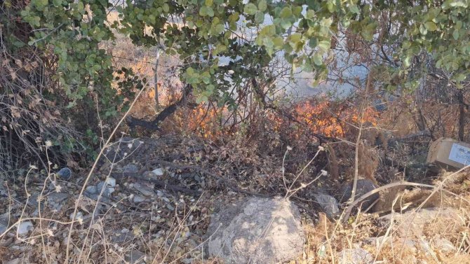 Bodrum’da Makilik Yangını