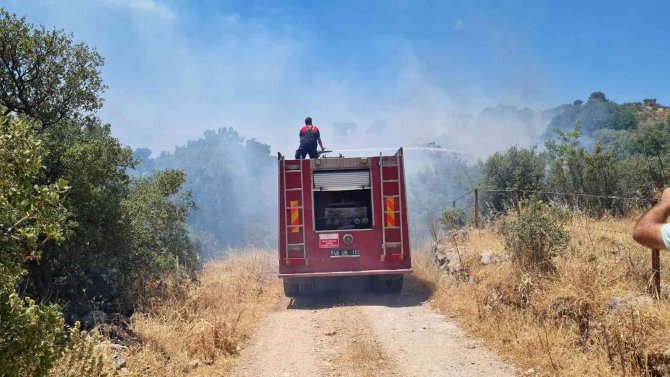 Bodrum’da Makilik Yangını