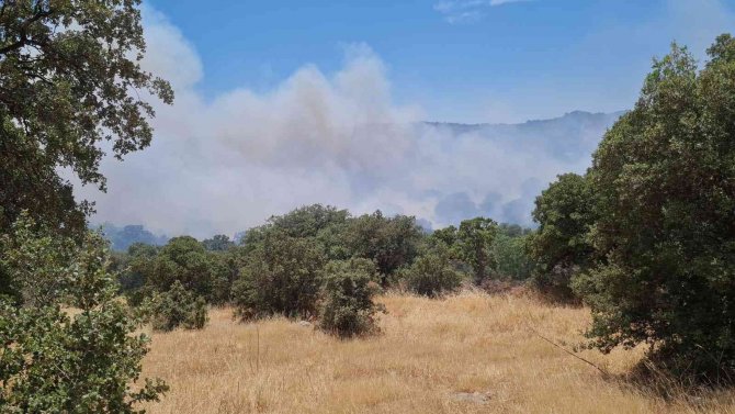 Bodrum’da Makilik Yangını