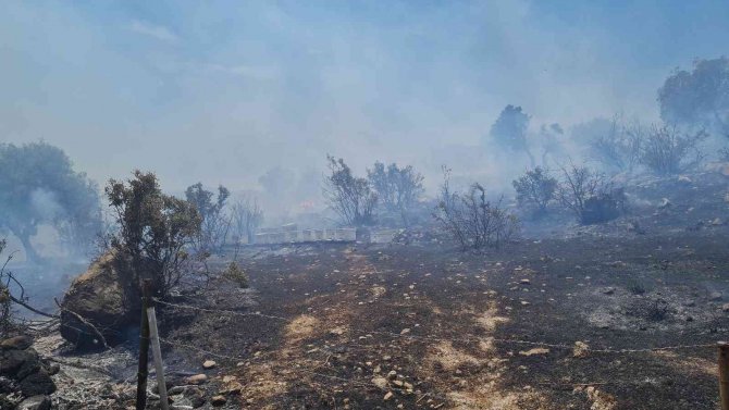 Bodrum’daki Yangın 3 Saatlik Çalışmayla Söndürüldü