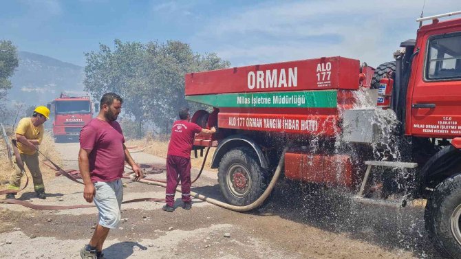 Bodrum’daki Yangın 3 Saatlik Çalışmayla Söndürüldü