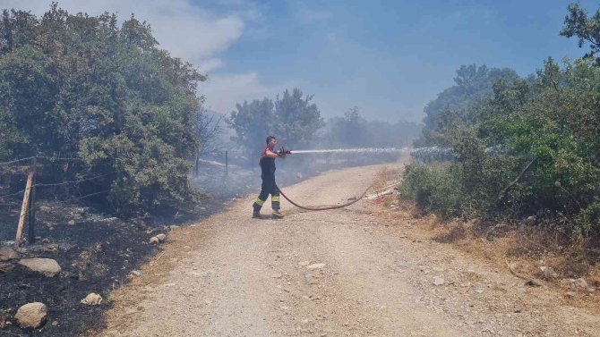 Bodrum’daki Yangın 3 Saatlik Çalışmayla Söndürüldü