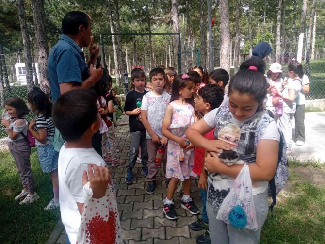 Evcil Hayvan Parkı Çocukların Gözde Mekanı Oldu