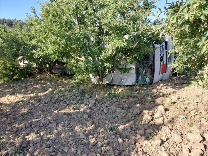 Yoldan Çıkan Tır Meyve Bahçesine Devrildi, Sürücü Hayatını Kaybetti