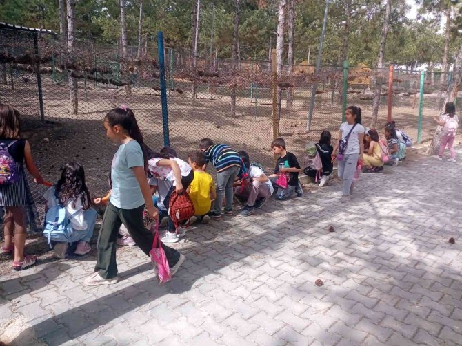 Evcil Hayvan Parkı Çocukların Gözde Mekanı Oldu