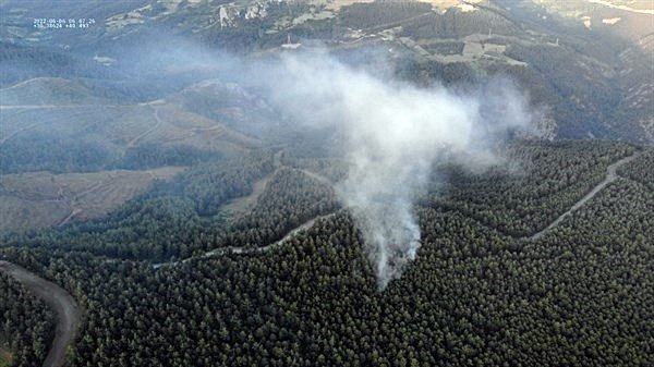 Sakarya’da Orman Yangını Büyümeden Söndürüldü