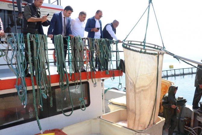 Samsun’da Türk Somonu Hasadı