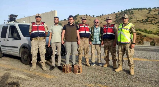 Siirt’te Kaçak Avcıya Tutanak Tutuldu