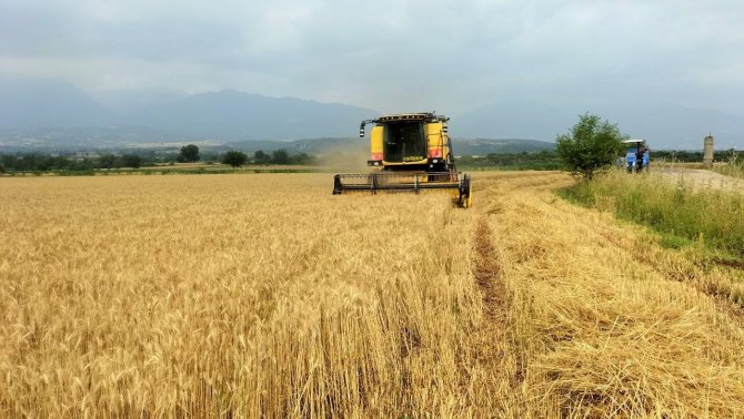 Buğday Üreticisinin Yüzü Gülüyor