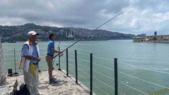 Yunuslar Binlerce İstavriti Limana Sıkıştırdı, Vatandaşlar Kova Kova Balık Avladı