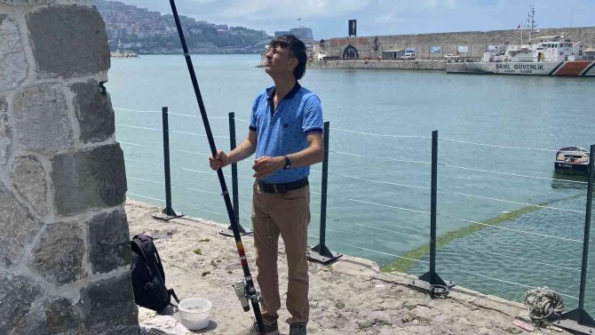 Yunuslar Binlerce İstavriti Limana Sıkıştırdı, Vatandaşlar Kova Kova Balık Avladı