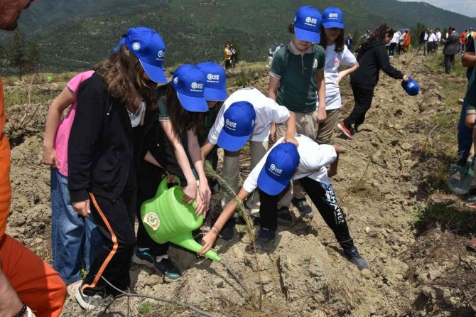 Karabük’te Küle Dönen Orman Dikilen Fidanlarla Yeşillenecek
