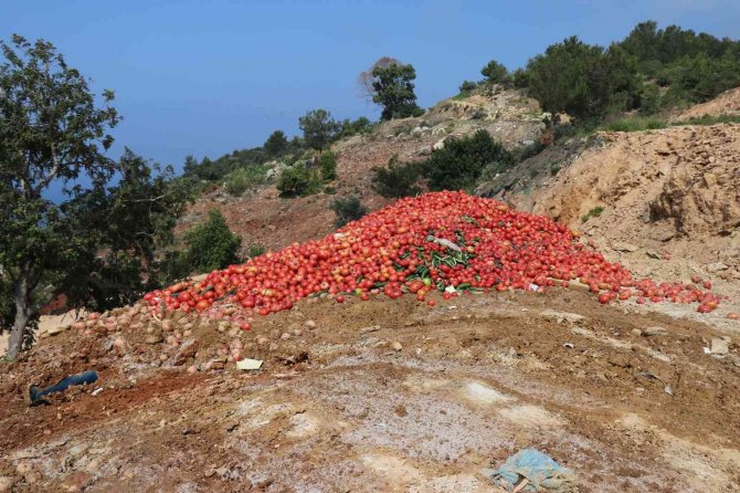 Antalya’da Çöpe Dökülen Sebze Açıklaması: "İ̇nsan Sağlığını Tehdit Eden Ürünler"
