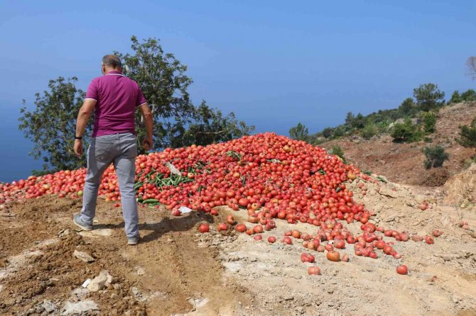 Antalya’da Çöpe Dökülen Sebze Açıklaması: "İ̇nsan Sağlığını Tehdit Eden Ürünler"